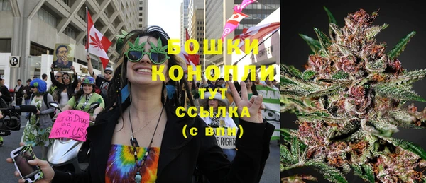 PSILOCYBIN Армянск