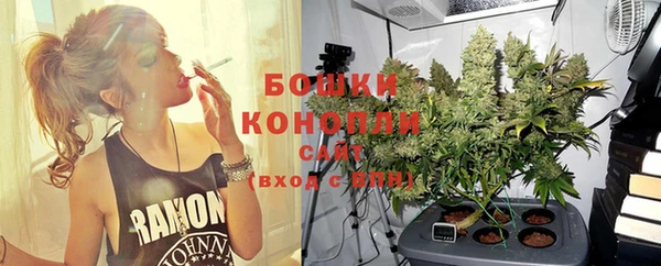 спайс Пролетарск