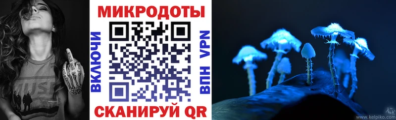 Псилоцибиновые грибы ЛСД  Аркадак 